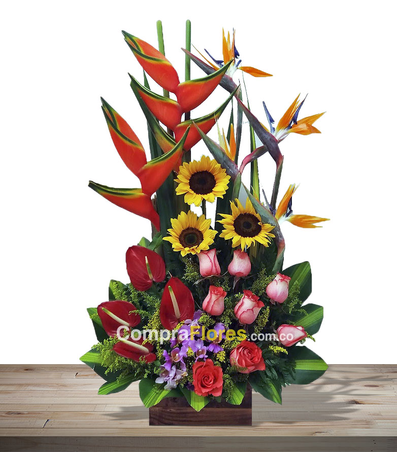 Alegria floristerias en cali