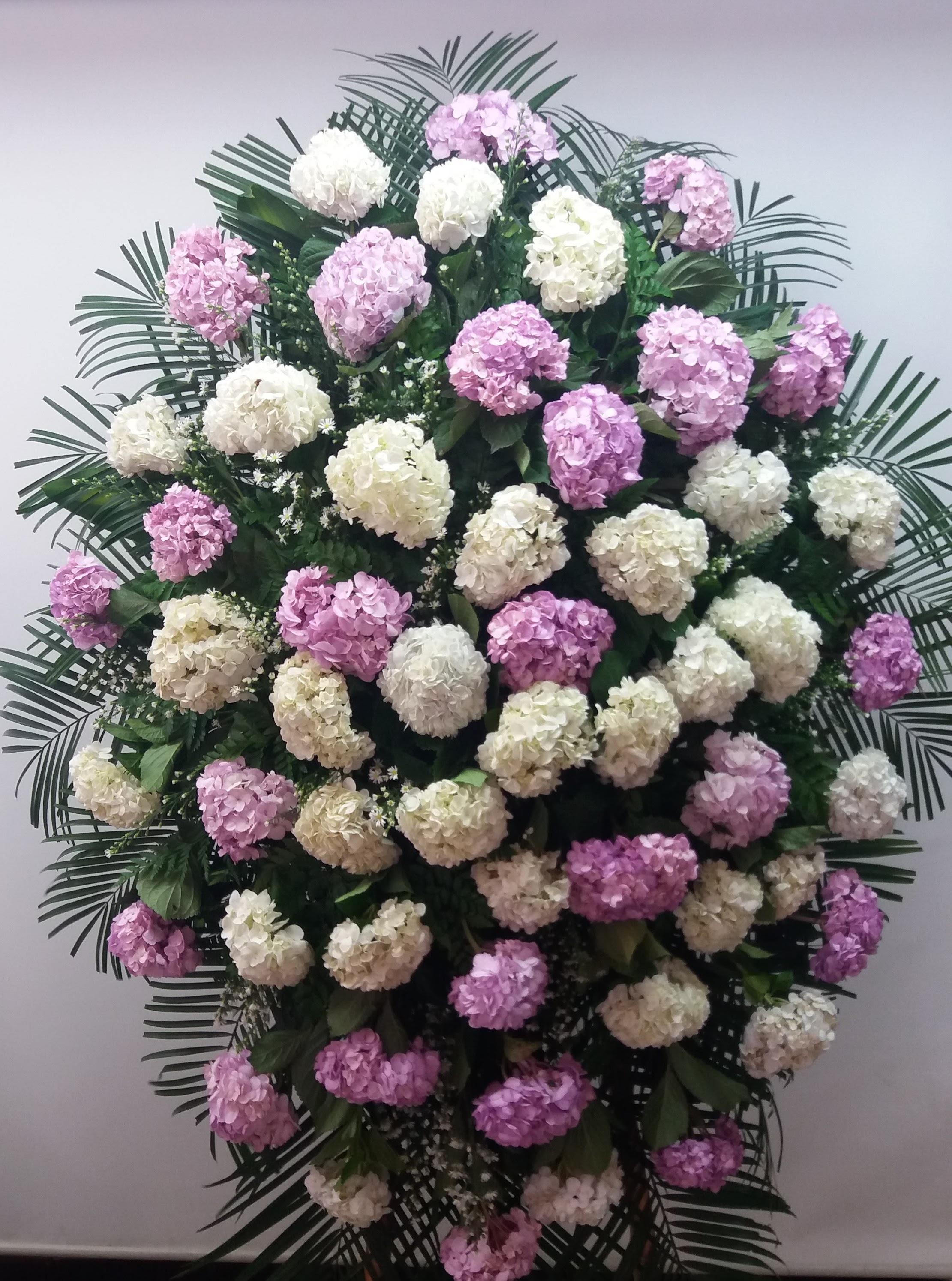 funebre en hortensias en cali