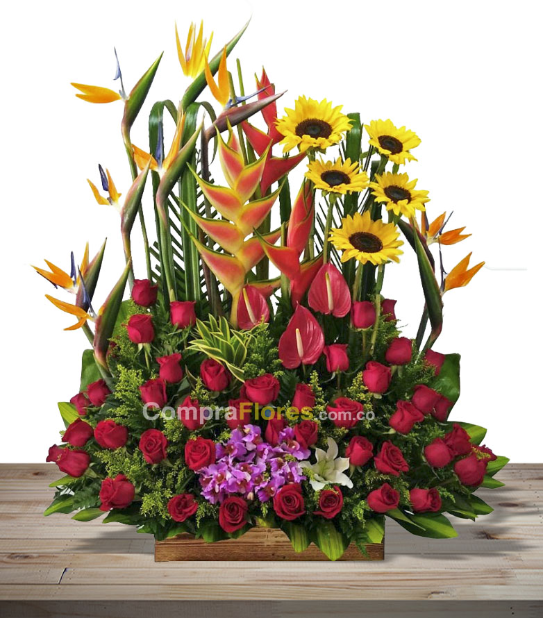 Jardin de Flores y Detalles 