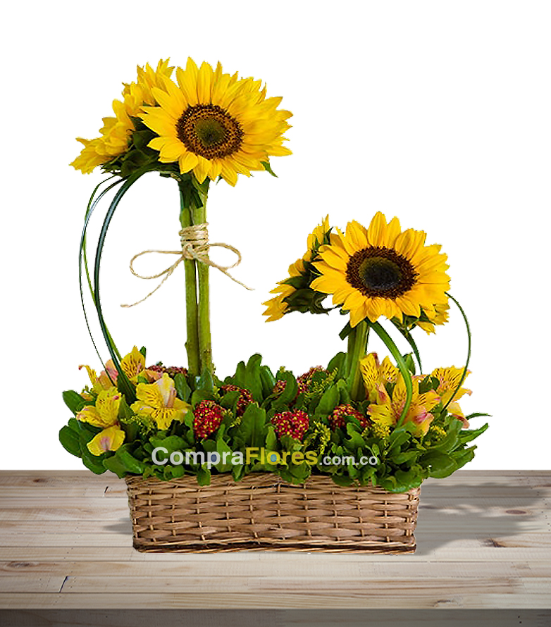 Canasta Girasoles flores en cali