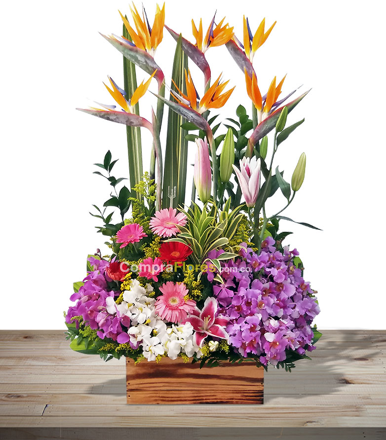 Arreglo floral Florecer de OrquÃ­dea