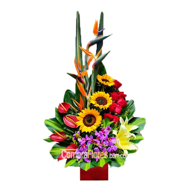 Obsequio Floral Cali