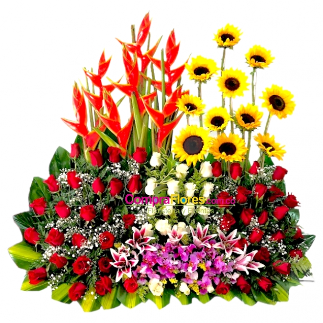 Jardin de Rosas Grande