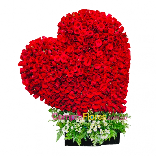 Corazon Gigante de Rosas