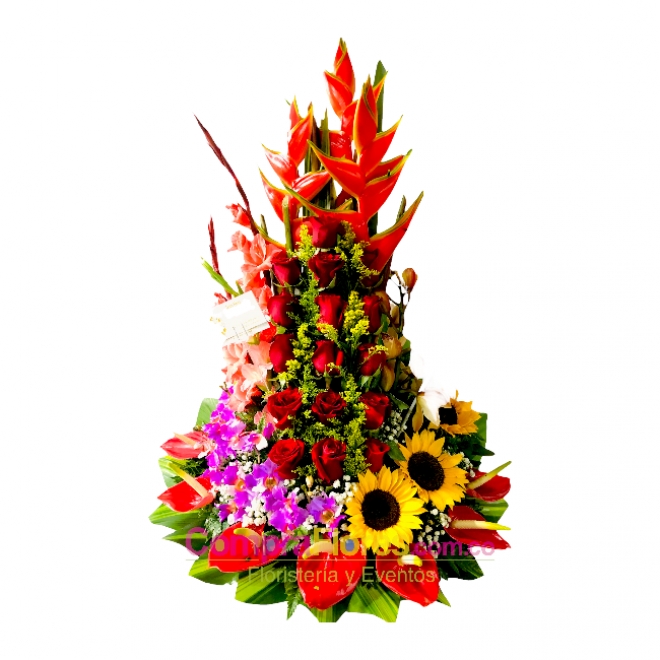 Eternecer Floral Cali