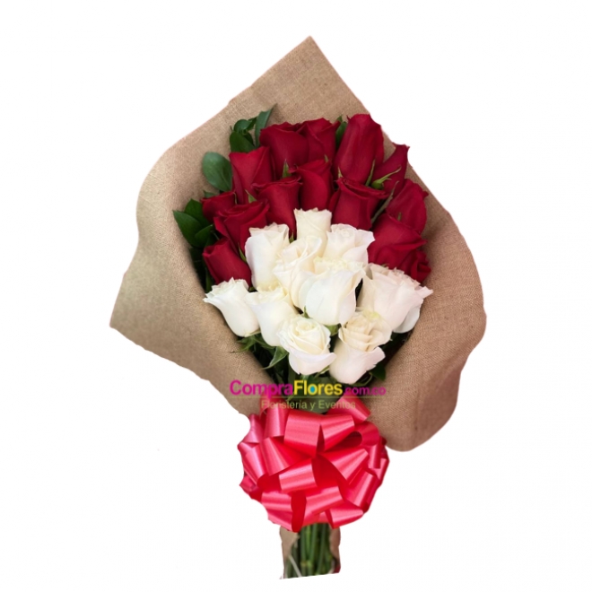 Rosas blancas y rojas