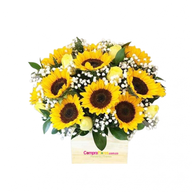 Cajon de Girasoles y Rosas