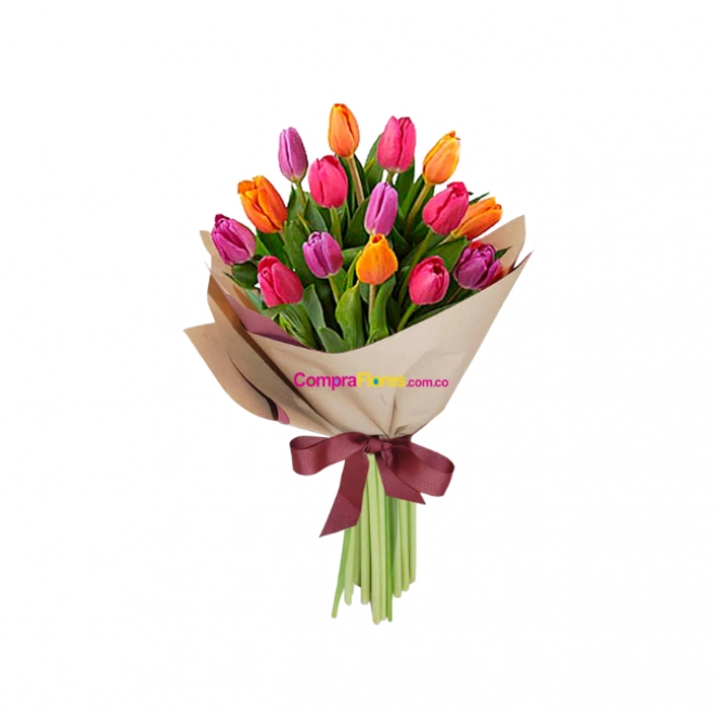 Boquet de Tulipanes