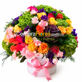 Arreglo de Rosas y Hortensias en Cilindro 